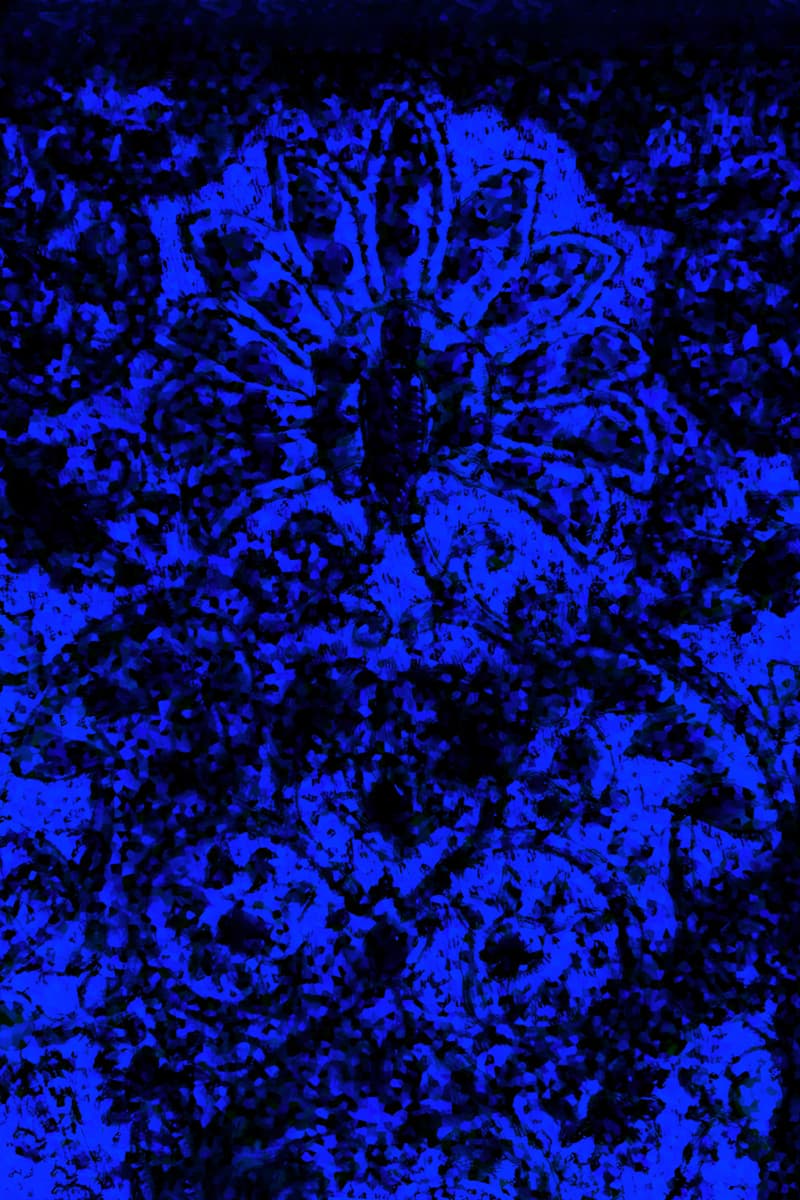 Nocturne in Sapphire